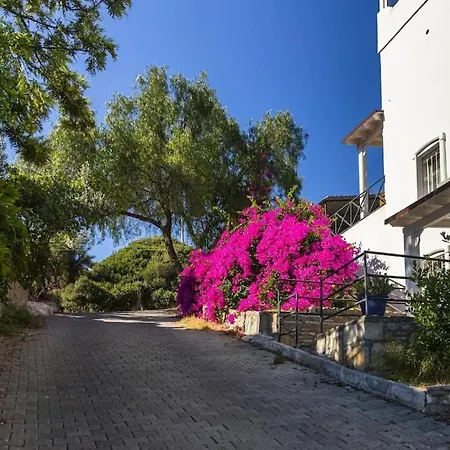 Colorful House With Garden In The Heart Of Turkbuku 公寓 *