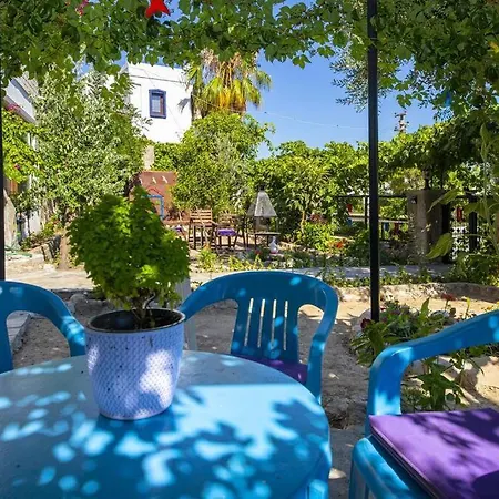 公寓 Colorful House With Garden In The Heart Of Turkbuku 博德鲁姆