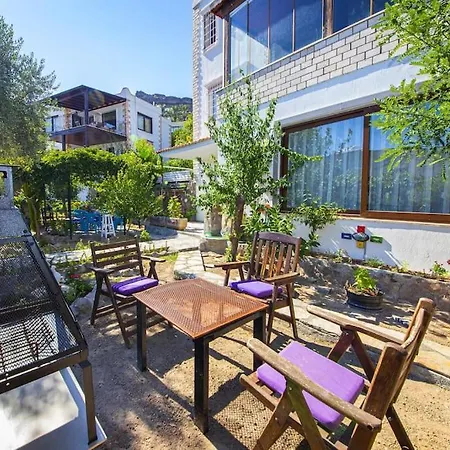 Apartment Colorful House With Garden In The Heart Of Turkbuku *